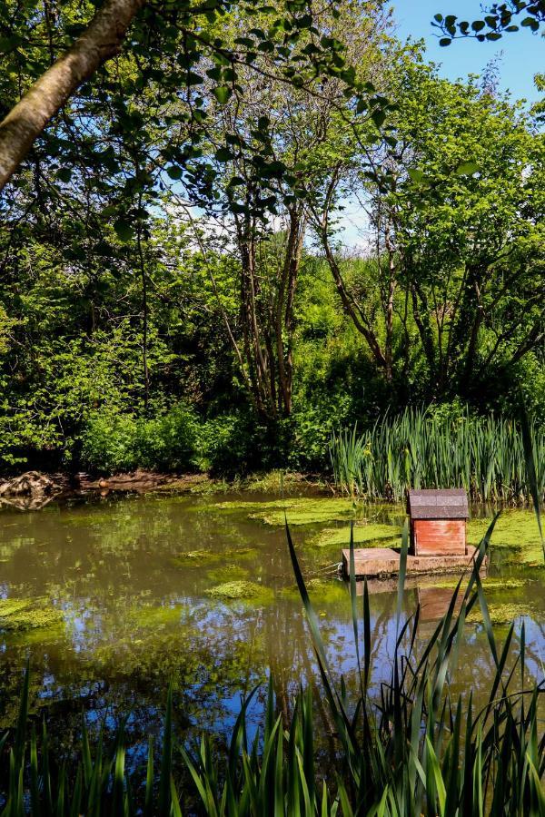 Ty La Source Bed and Breakfast Plestin-les-Grèves Εξωτερικό φωτογραφία